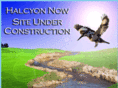 halcyonnow.com