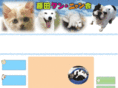 wan-nyan-kai.com
