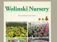 wolinskinursery.co.uk