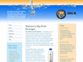 bigworldbevs.com