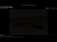cowgirlheelingphotography.com
