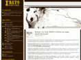 ibayo-online.com