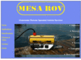 mesarov.com