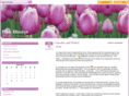 pinkillusion.com