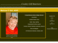 cooleygillinteriors.com