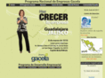 gacelas.org.mx