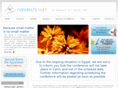 nanoinsight.org