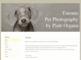 torontopetphotography.com