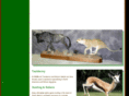 wildlifearttaxidermy.com