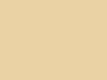 coffee-spr.cn