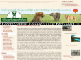 continentalsafaris.com