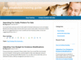 dog-obedience-training-guide.com