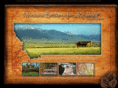 montanabrokers.com
