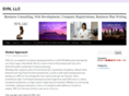 svnbusinessconsulting.com