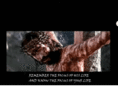 therockstar.com