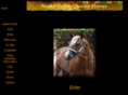 snakevalleyquarterhorses.com
