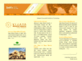 vijayaminerals.com