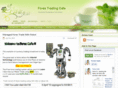 winterwongforex.com