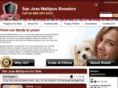 sanjosemaltipoobreeders.com