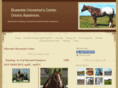bluewaterhorseman.com
