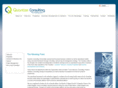 quantizeconsulting.com