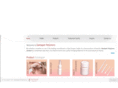 santapetpolymers.com