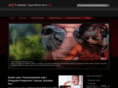 zooom.com.mx