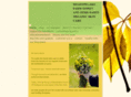 beehiveskintherapies.com