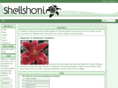 shellshoni.com