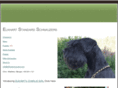 standardschnauzers.org