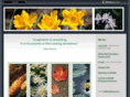 valdana.com
