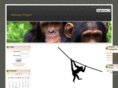 emonkeyproject.com