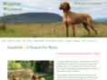 fassfieldswirevizslas.com