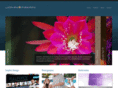 johninman.net