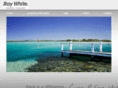 raywhiteforstertuncurry.com