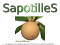 sapotilles.com