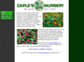 caplesnursery.com