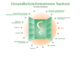 gesundheitsinfo-sachsen.de