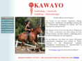 kawayo.de