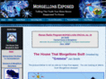morgellonsdiseaseexposed.com