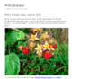 willskitchen.com