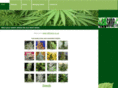 420shop.co.uk