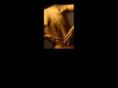 myspine.com
