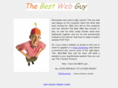 thebestwebguy.com