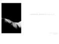 amvisuals.org