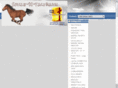 ponysaddlesponytack.com
