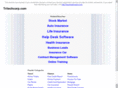 tritechcorp.com