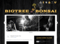bigtreebonsai.com