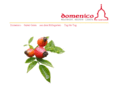 domenico-stlambrecht.at