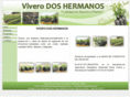 plantadeaguacateuruapan.com